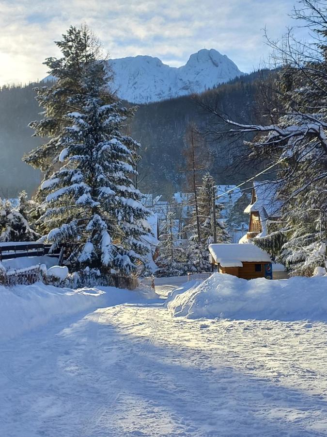 U Tylki Studio Z Widokiem Na Gory Zakopane Zewnętrze zdjęcie