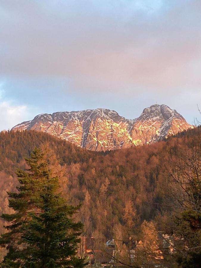 U Tylki Studio Z Widokiem Na Gory Zakopane Zewnętrze zdjęcie
