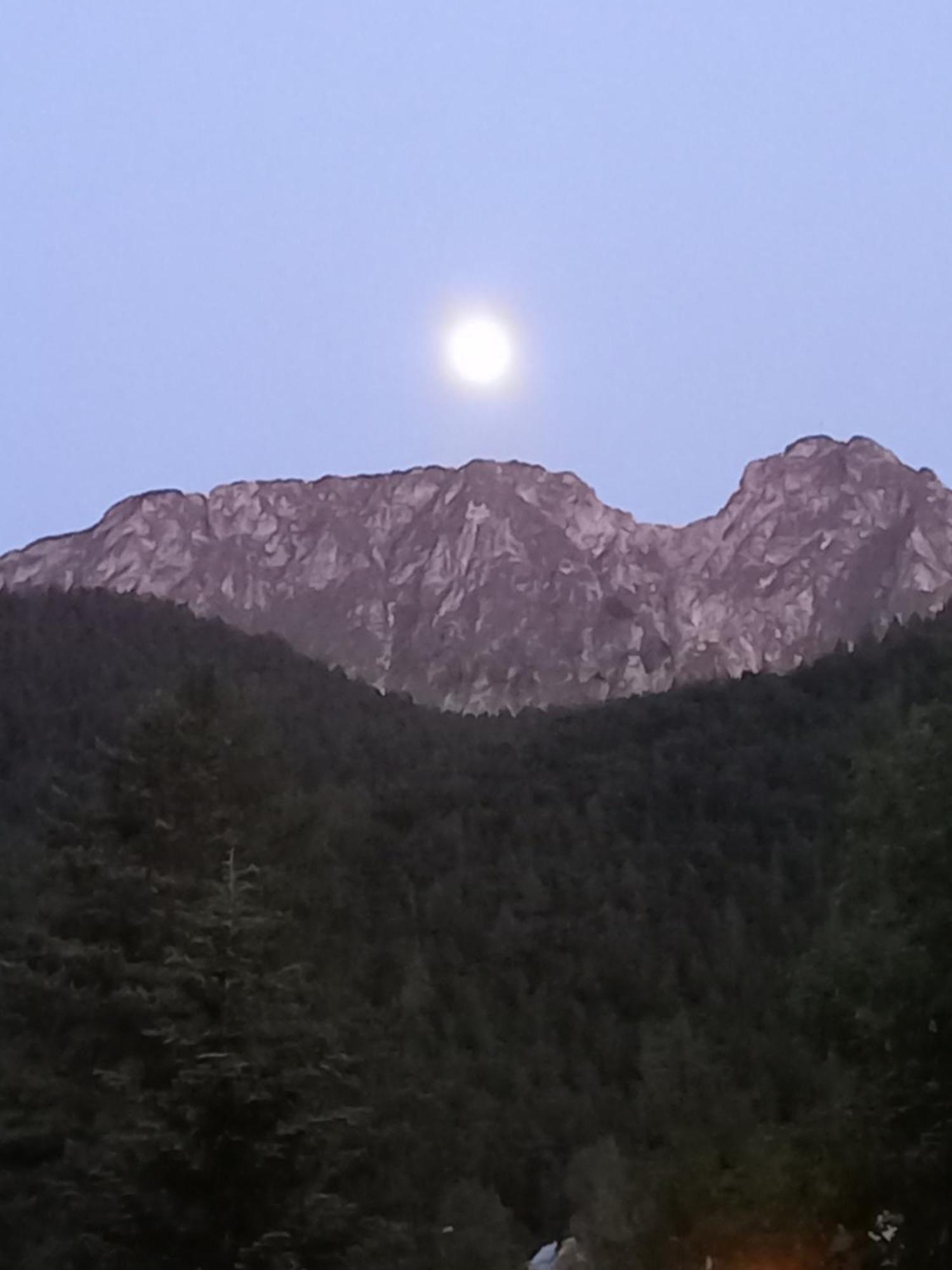 U Tylki Studio Z Widokiem Na Gory Zakopane Zewnętrze zdjęcie